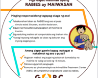 Rabies prevention fan thumbnail