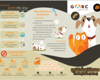 Rabies brochure thumbnail