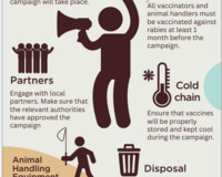 Tips for planning dog vaccinations