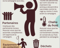 Tips for planning dog vaccinations thumbnail