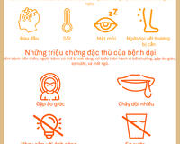 Rabies symptoms in humans infograph 2025 Vietnamese
