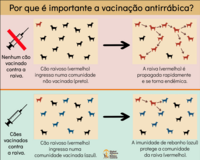 importance of dog vaccination PT