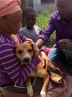 Mawethu giving rabies vaccination