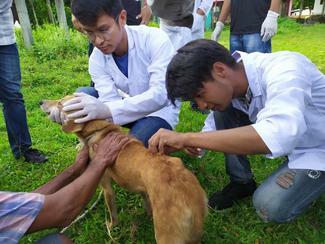 IVSA Rampur student group, GARC World Rabies Day awards nominee activities 2020, including vaccination.