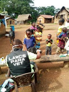 Liberia Animal Welfare & Conservation Society, GARC World Rabies Day awards nominee activities 2020, including vaccination.