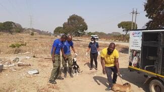 Zimbabwe National Society for the Prevention of Cruelty to Animals (ZNSPCA), GARC World Rabies Day award shortlisted demonstrating their dog population management activities.