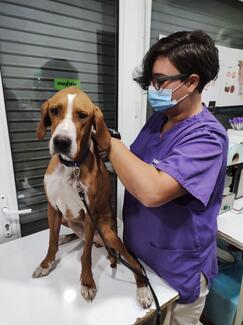 Ana Metskhvarishvili