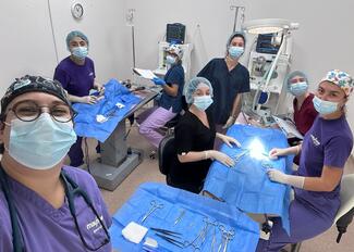 Ana Metskhvarishvili