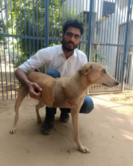 Dr Sanjay Singh 1