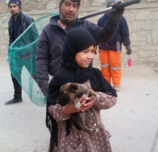 Afghan child with pup
