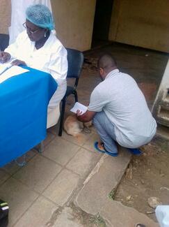 REGISTERING VACCINATED DOGS AND DELIVERING CETIFICATES