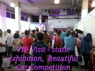 static exhibition, Beautiful Cat Show