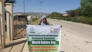 Somali Female veterinarian doctor involving the world rabies day control