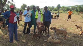 Rabies Vaccination Campaigns are carried out free of charge to Communities in rural areas through out Zimbabwe. 