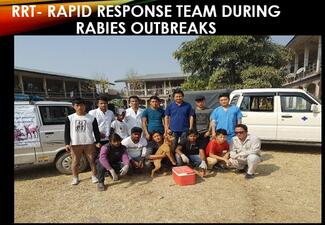 During Rabies outbreaks 2018