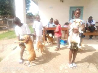 Children were the main people who brought their pets for vaccination