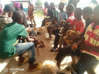 Rabies vaccination exercise 