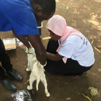 animal welfare advocates association The Gambia. on vaccination during the world rabies day
