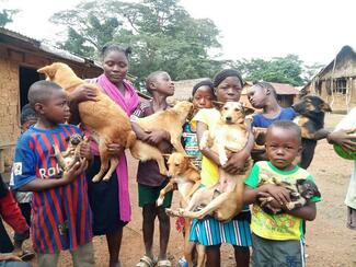 Eradicating rabies among dogs and people
