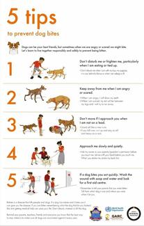 Dog Bite Prevention Poster