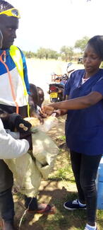 Dr Nelly vaccinating a cat during world Rabies day in Konyao