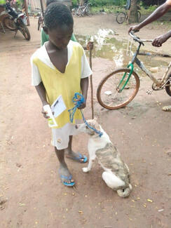 one little boy and his dog proudly holding his vaccination certificate and some Filtabac cream for his dog's ears