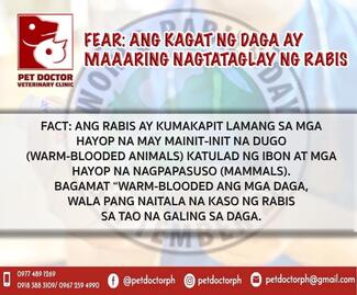 Fear vs. Fact #5 PetDoctorPH World Rabies Day 2021