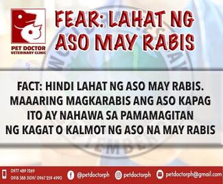 Fear vs. Fact #1 PetDoctorPH World Rabies Day 2021