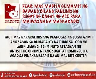 Fear vs. Fact #4 PetDoctorPH World Rabies Day 2021