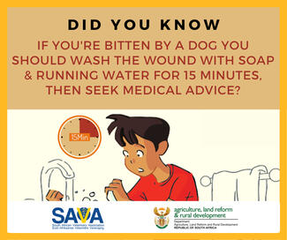 Fact: Rabies kills someone every 9 minutes, globally.   If you are bitten, scratched or licked by a suspected rabid animal, apply the following steps:   Wash the wound well with soap and running water for 15 minutes. Immediately seek medical treatment at your nearest medical facility. To prevent rabies, a series of vaccinations will be given and if required, rabies antibodies will be administered.  #RabiesEndsHere - vaccinate your dogs and cats by visiting your local veterinarian or state veterinarian.  #Wo