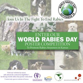 World Rabies Day Poster Competition 2023 - Kansas Schools