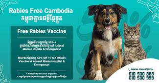 Free Rabies and 50% off microchip