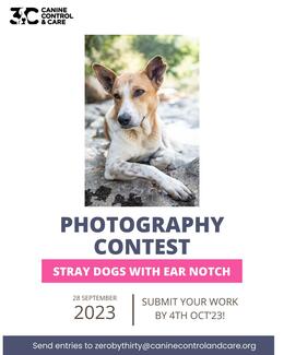 CCC photography contest ZerobyThirty