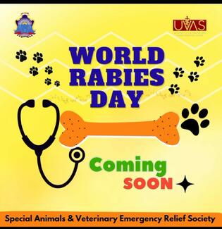 World Rabies Day poster 