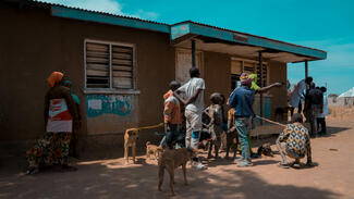 Organization for Creative Impact , Image 8