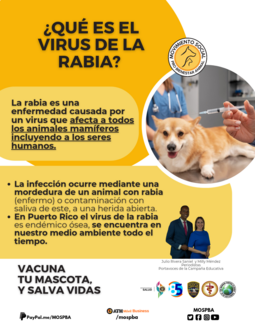 What is a rabies virus?