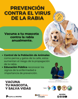 Prevention