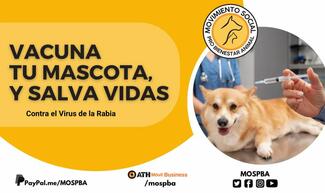 Banner Campaign