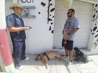 Actividades educativas y de difusión sobre la prevención de la rabia y cuidados de las mascotas en el barrio