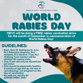 World Rabies Day - Manila East Veterinary Care