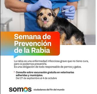 Flyer de publicación oficial