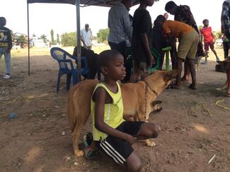 Vaccination day