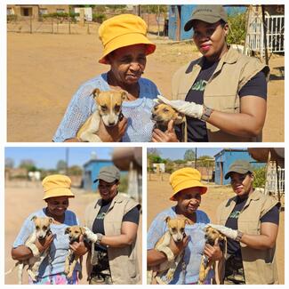 #RabiesVaccinationDrive