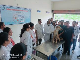 ARV Programme on the occasion of WRD