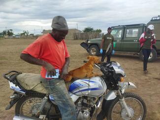Dog owner brings a dog for vaccination in Laikipia