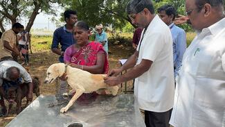 Injecting the Rabies Vaccine to Pet animal by Dr. Ramesh Kumar