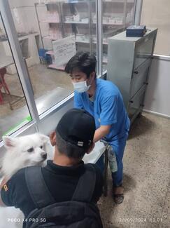 Rabies vaccination