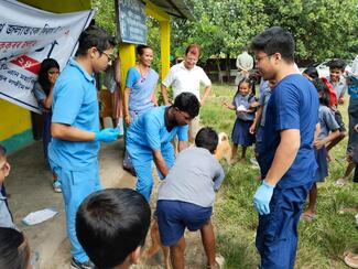 Vaccination of street dogs