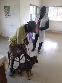 Contention de l'animal par son propriétaire avant la vaccination 