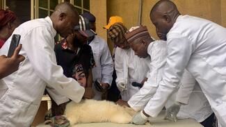 This is how it's done. Vaccinate against Rabies